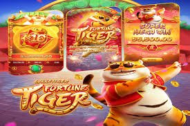 Responsible live betting reminder for db777 members in Bangladesh